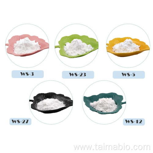 Cooling Flavour WS23 Xian Taima supply Cooling Agent WS23 WS-23 in bulk